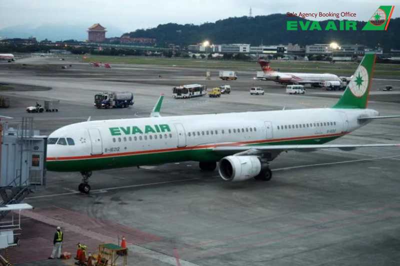 kinh nghiệm trẻ em đi máy bay EVA Air, trẻ em bay quốc tế EVA Air, Trẻ sơ sinh và trẻ nhỏ đi máy bay EVA Air, vé máy bay trẻ em EVA Air, Trẻ em đi máy bay EVA Air, trẻ đi một mình EVA Air, trẻ nhỏ đi máy bay EVA Air, Kinh nghiệm cho trẻ nhỏ bay EVA Air