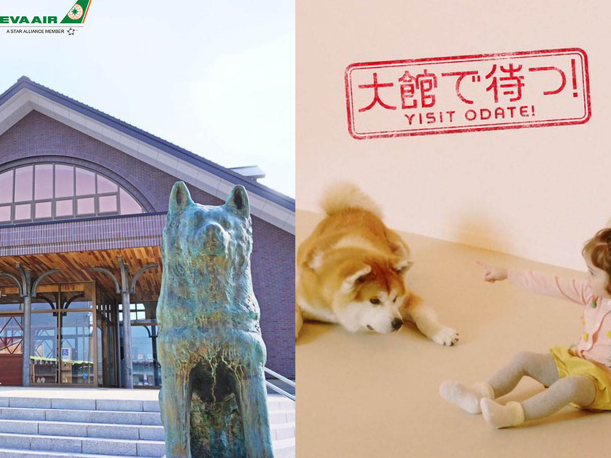 Bảo tàng chó Akita
