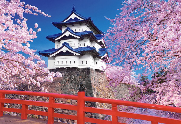 Tham quan lâu đài Hirosaki