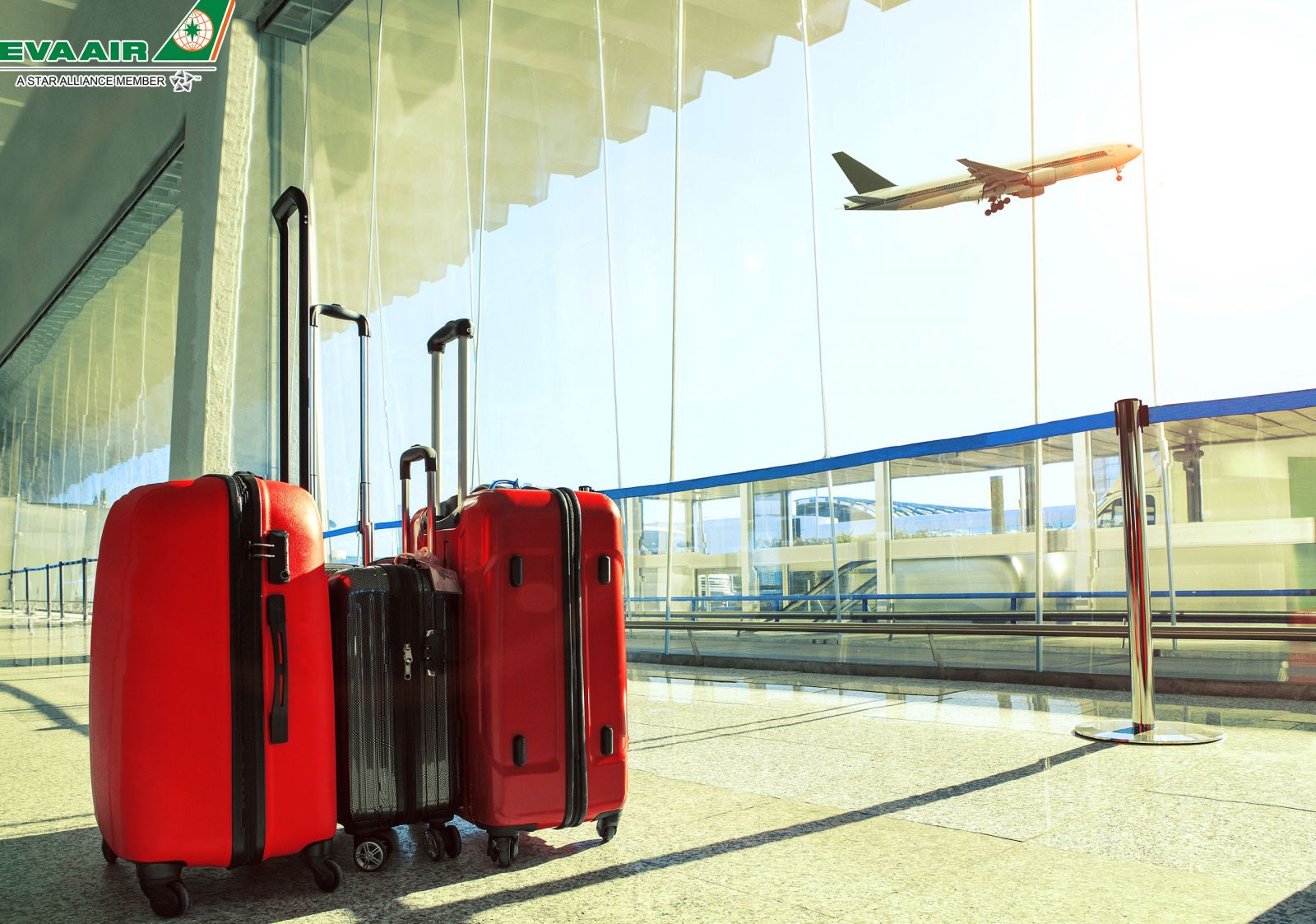 Quy định hành lý EVA Air khi đặt vé máy bay đi Ontario
