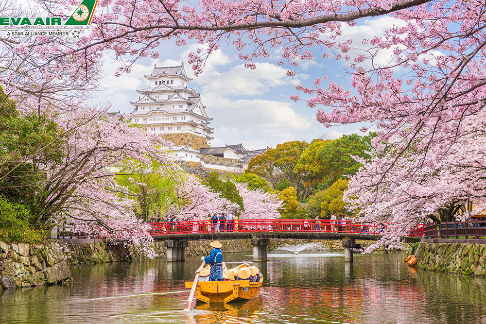 Lễ hội hoa anh đào (Sakura)