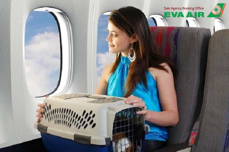 Ký Gửi Chó Mèo EVA Air, ký gửi chó mèo đi máy bay EVA Air, hành lý ký gửi thú cưng EVA Air, ký gửi thú cưng EVA Air, ký gửi động vật cảnh EVA Air, Chi Phí Ký Gửi vật nuôi EVA Air, quy định Ký Gửi Chó Mèo EVA Air, Vận Chuyển thú cưng bằng Cargo EVA Air