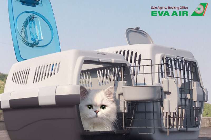 Vận chuyển thú cưng EVA Air, vận chuyển chó mèo EVA Air, hành lý ký gửi thú cưng EVA Air,  vận chuyển động vật cảnh EVA Air,  vận chuyển vật nuôi EVA Air, vận chuyển động vật sống EVA Air, ký gửi chó mèo EVA Air, Vận chuyển Hàng Hóa EVA Air là thú cưng
