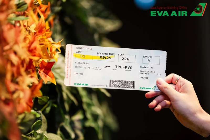 động vật cảnh đi máy bay eva air, bay cùng thú cưng với EVA Air, vận chuyển vật nuôi nhỏ EVA Air, vận chuyển vật nuôi EVA Air, dịch vụ ký gửi thú nuôi EVA Air, thú cưng ký gửi EVA Air, Lồng vận chuyển động vật cảnh EVA Air 