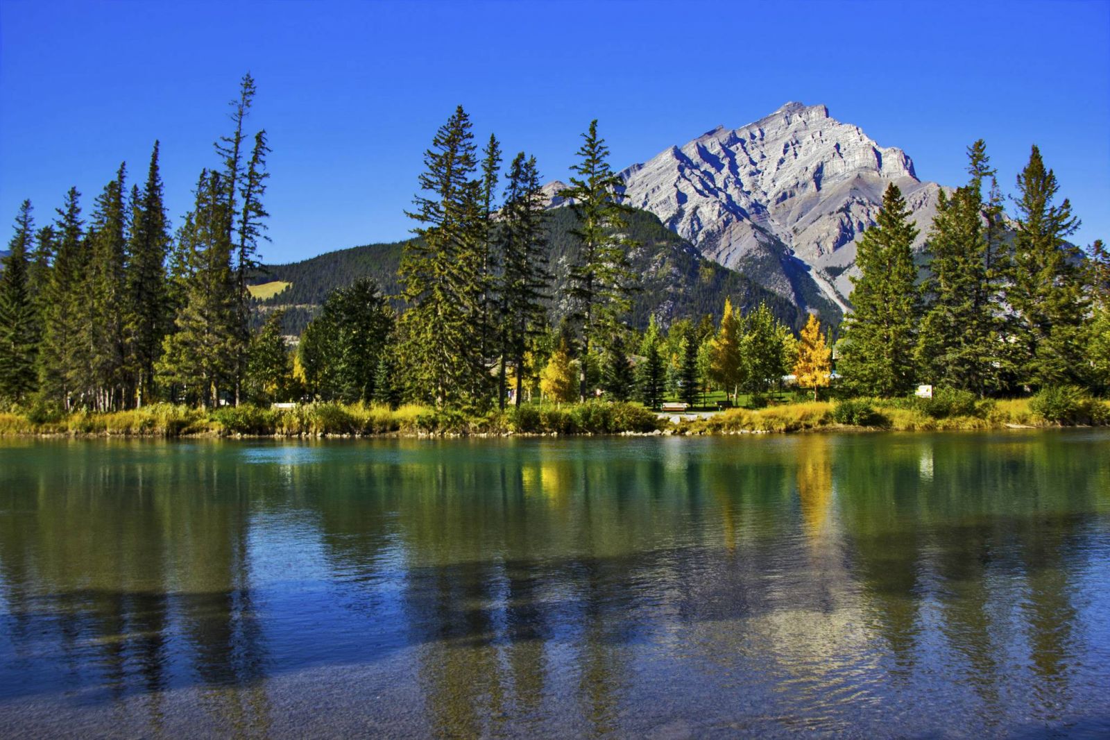 vé máy bay đi Calgary 2019 giá rẻ